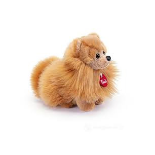 Pomerania Biscuit