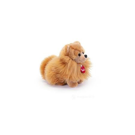 Pomerania Biscuit